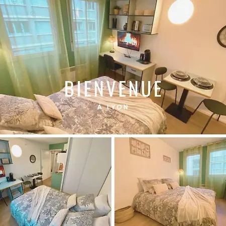 L'Hermes - Wifi - Parking - Netflix Villeurbanne Esterno foto